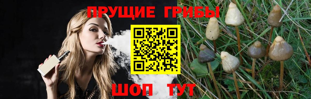 Псилоцибиновые грибы Magic Shrooms  Вход с VPN  Тверь 
